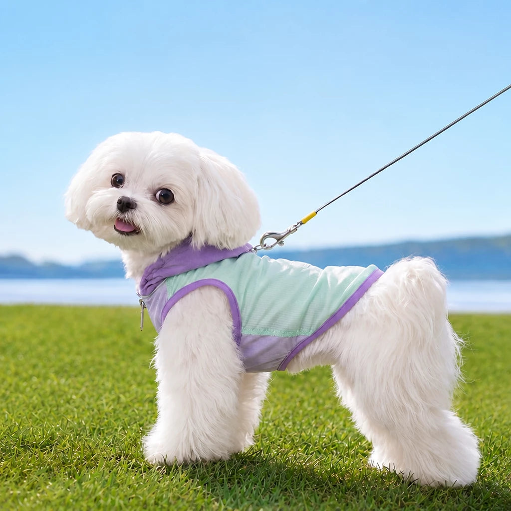 Summer Pet Shirt for Small Dogs