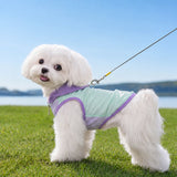 Summer Pet Shirt for Small Dogs