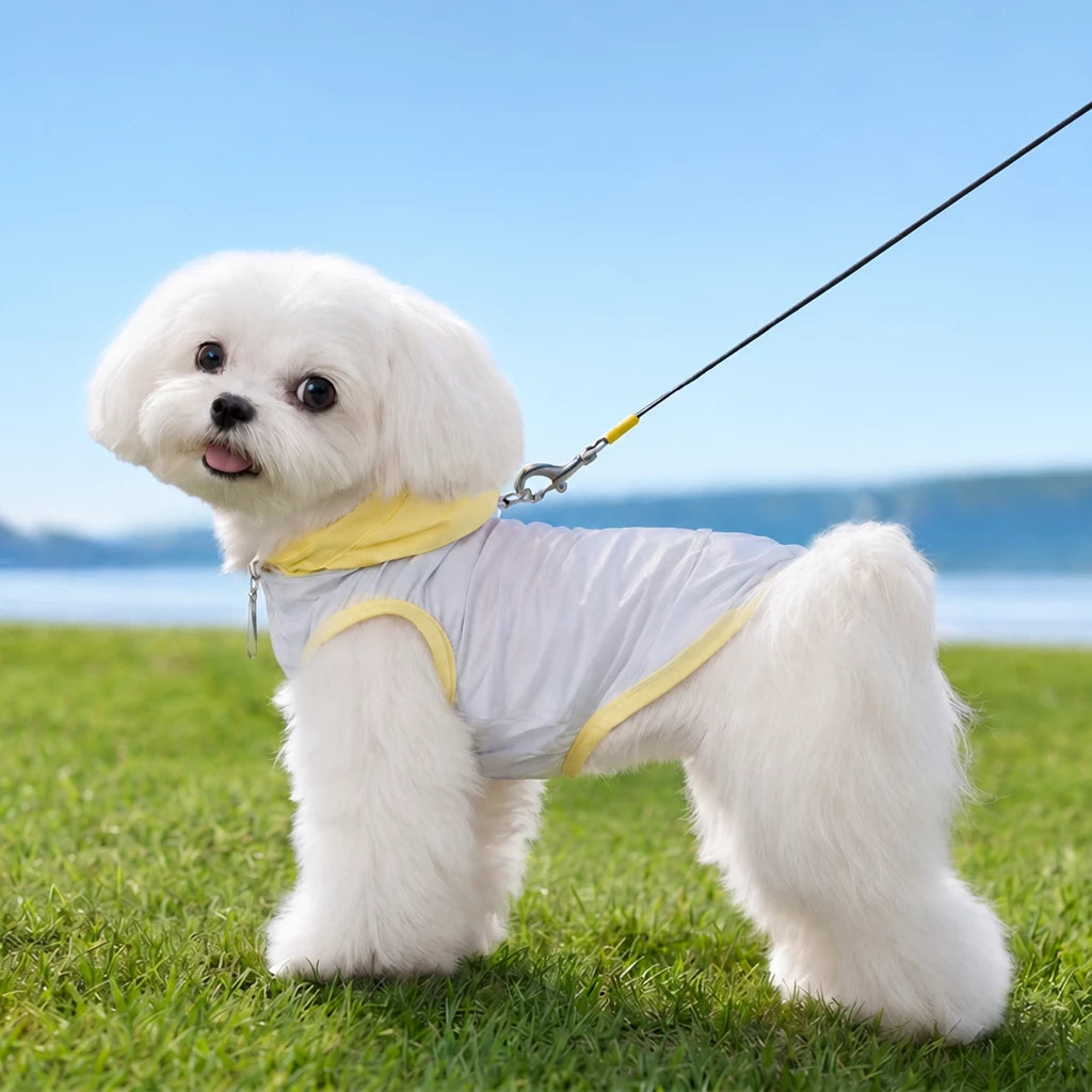Summer Pet Shirt for Small Dogs
