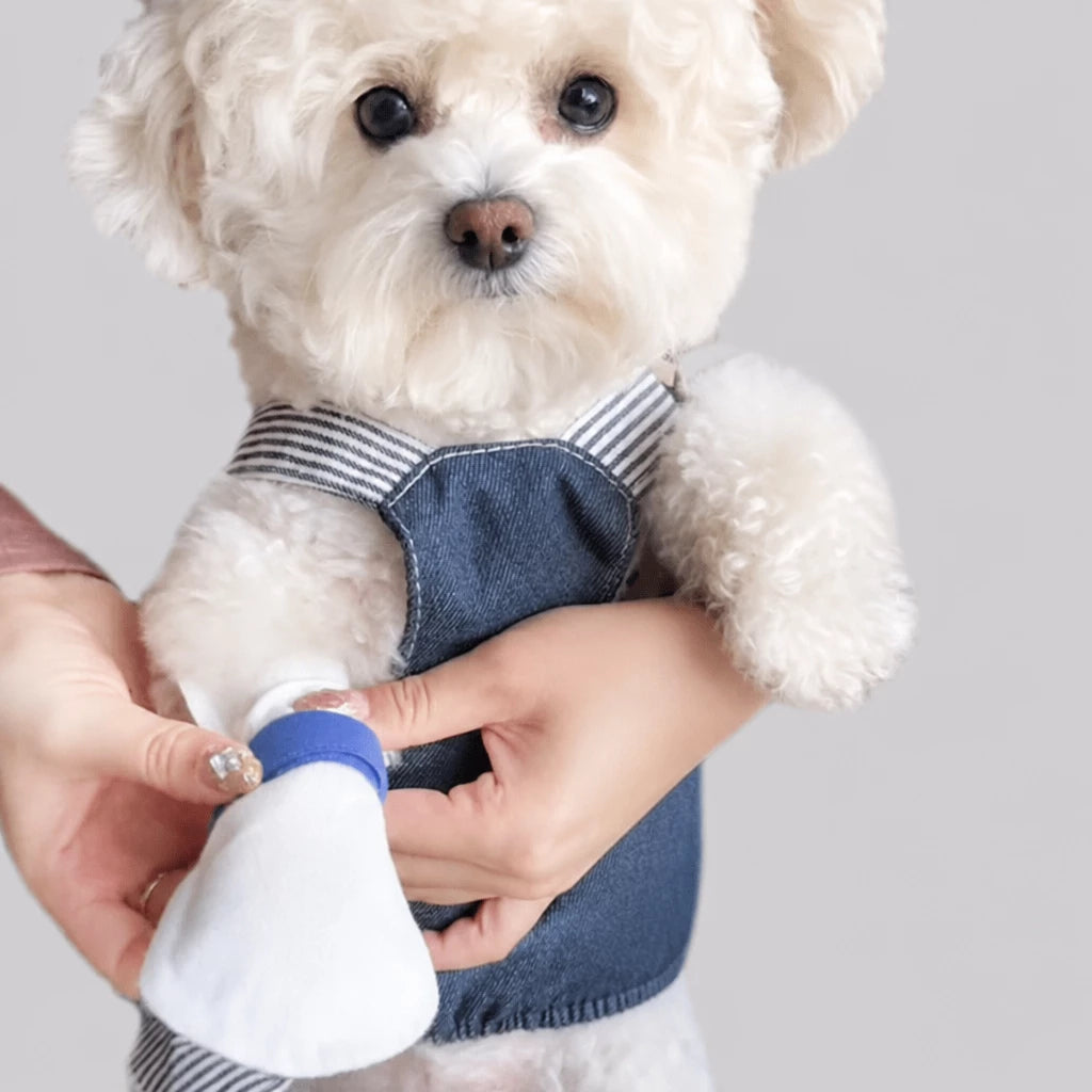Disposable Waterproof Dog Paw Covers