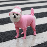 Four-Leg Waterproof Raincoat for Small Dogs