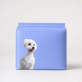 Dog Diapers for Male & Female Dogs