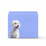 Dog Diapers for Male & Female Dogs