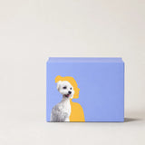 Dog Diapers for Male & Female Dogs