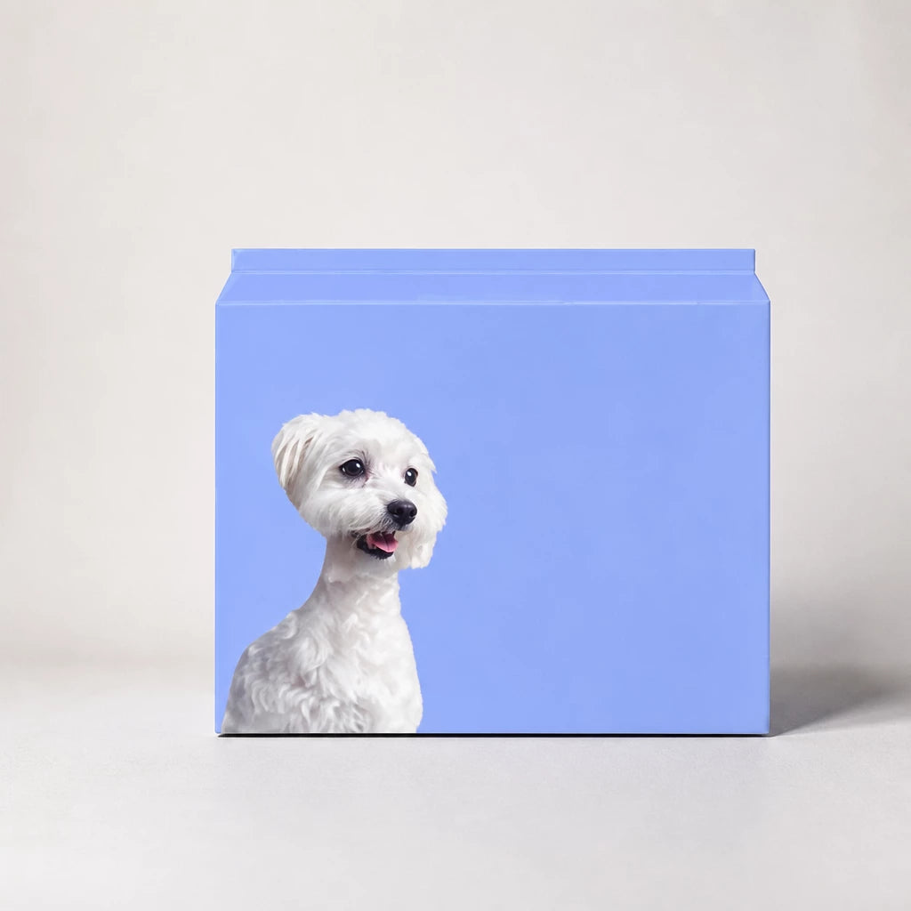 Dog Diapers for Male & Female Dogs