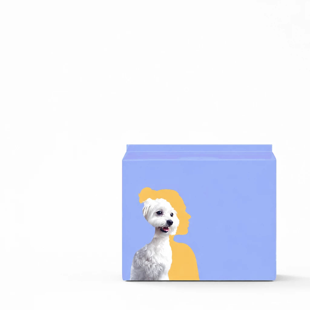 Dog Diapers for Male & Female Dogs