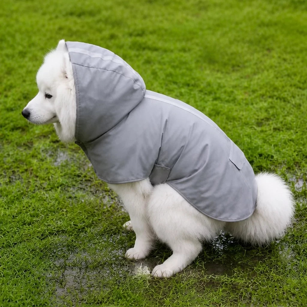 Dog Raincoat for Rainy-Day Walks