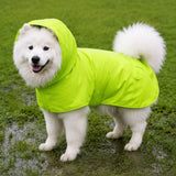 Dog Raincoat for Rainy-Day Walks
