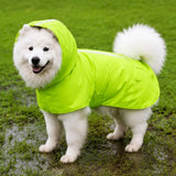Dog Raincoat for Rainy-Day Walks