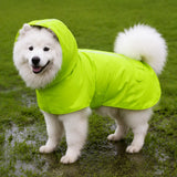 Dog Raincoat for Rainy-Day Walks