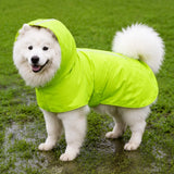 Dog Raincoat for Rainy-Day Walks
