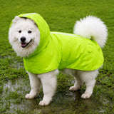 Dog Raincoat for Rainy-Day Walks