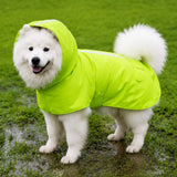 Dog Raincoat for Rainy-Day Walks