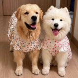Lightweight Spring & Summer Dog Dress