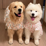 Lightweight Spring & Summer Dog Dress