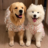 Lightweight Spring & Summer Dog Dress