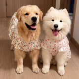 Lightweight Spring & Summer Dog Dress