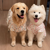Lightweight Spring & Summer Dog Dress