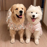 Lightweight Spring & Summer Dog Dress
