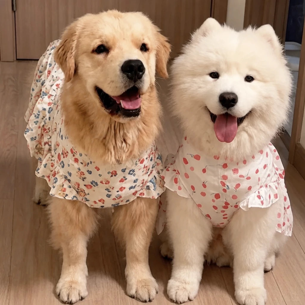 Lightweight Spring & Summer Dog Dress
