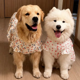 Lightweight Spring & Summer Dog Dress