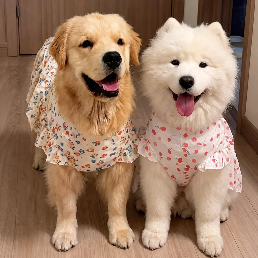 Lightweight Spring & Summer Dog Dress