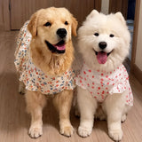 Lightweight Spring & Summer Dog Dress
