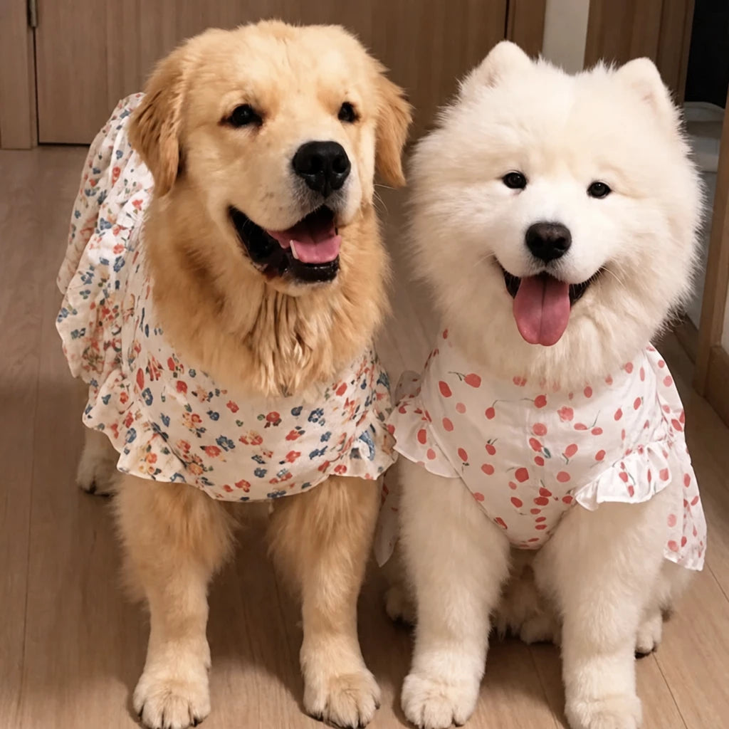 Lightweight Spring & Summer Dog Dress