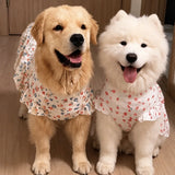 Lightweight Spring & Summer Dog Dress