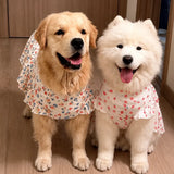 Lightweight Spring & Summer Dog Dress