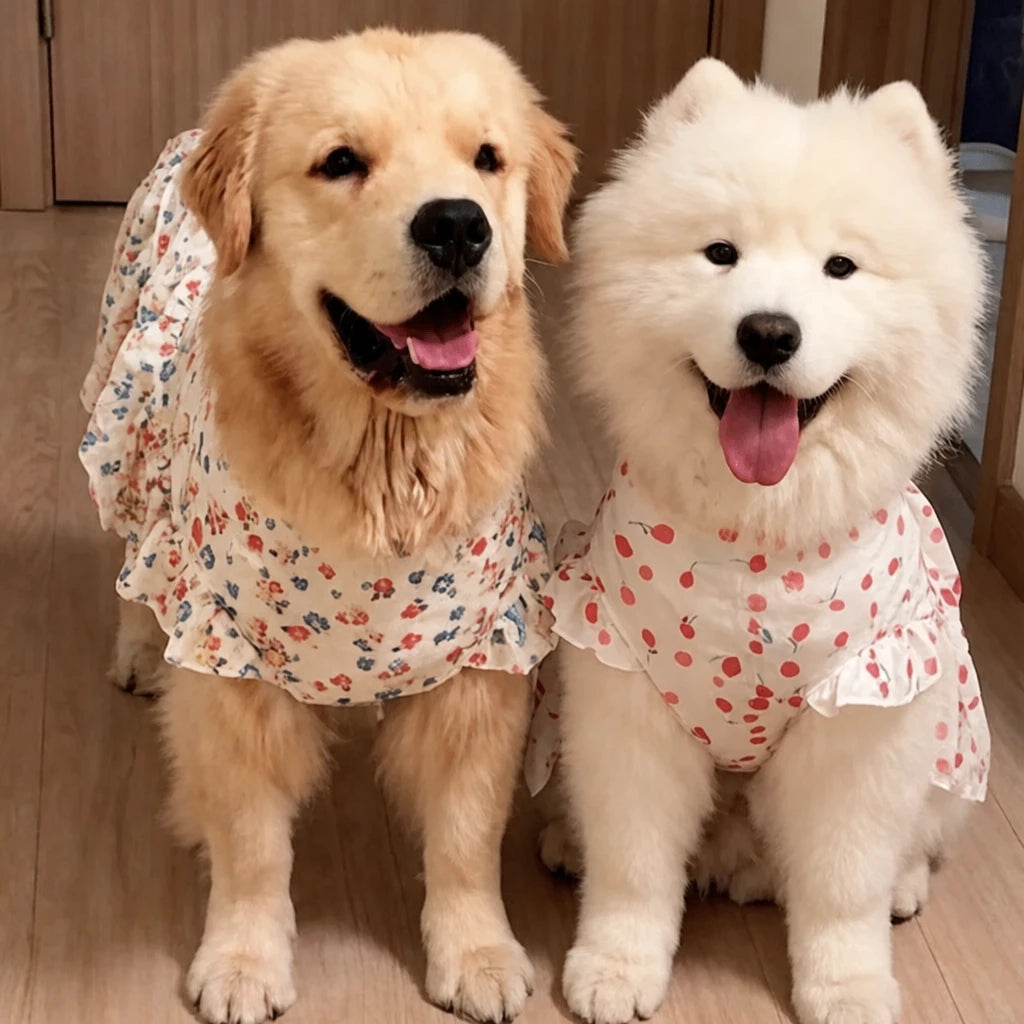 Lightweight Spring & Summer Dog Dress