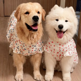 Lightweight Spring & Summer Dog Dress