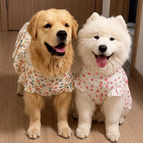 Lightweight Spring & Summer Dog Dress