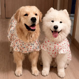 Lightweight Spring & Summer Dog Dress