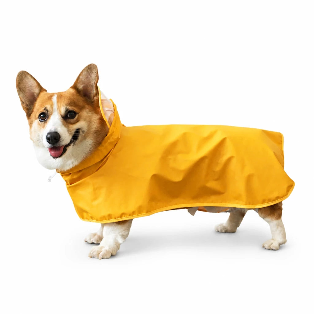 Four-Leg Dog Raincoat for Small to Medium Dogs