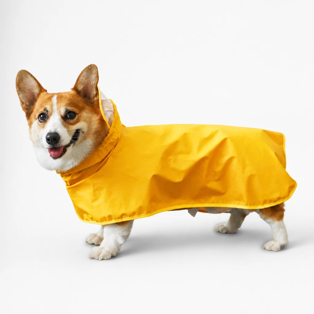 Four-Leg Dog Raincoat for Small to Medium Dogs