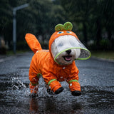 Four-Leg Raincoat for Small Dogs