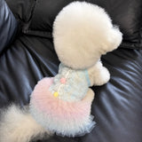 Lace Pet Dress with Gradient Full Skirt for Small Dogs and Cats
