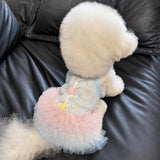 Lace Pet Dress with Gradient Full Skirt for Small Dogs and Cats