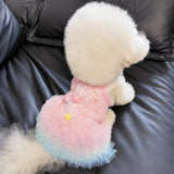 Lace Pet Dress with Gradient Full Skirt for Small Dogs and Cats