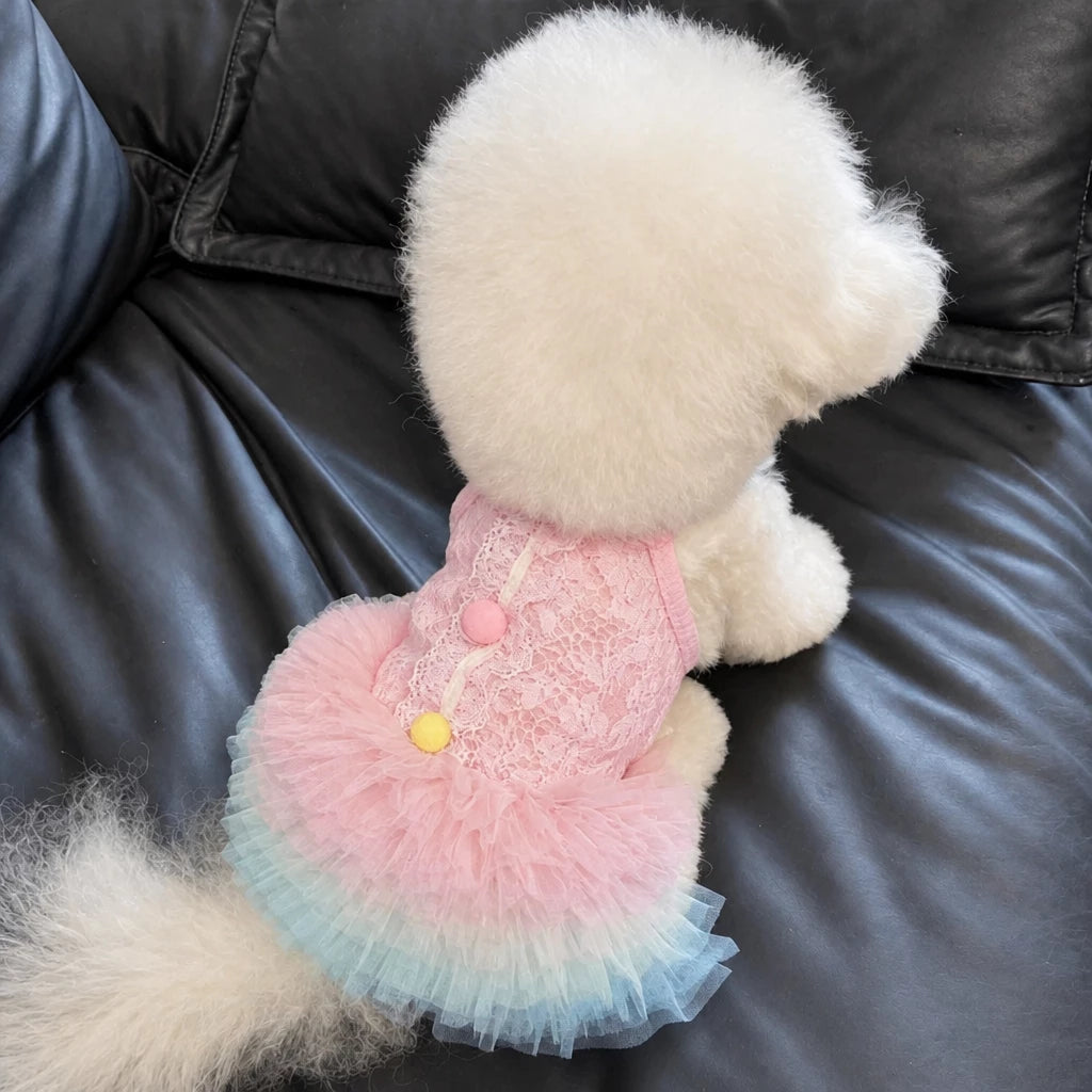 Lace Pet Dress with Gradient Full Skirt for Small Dogs and Cats