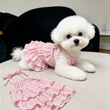 Cotton Pet Dress with Tiered Skirt