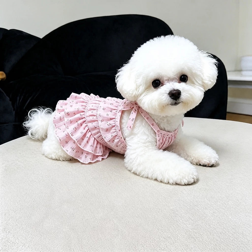 Cotton Pet Dress with Tiered Skirt