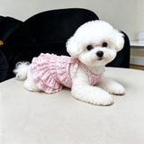 Cotton Pet Dress with Tiered Skirt