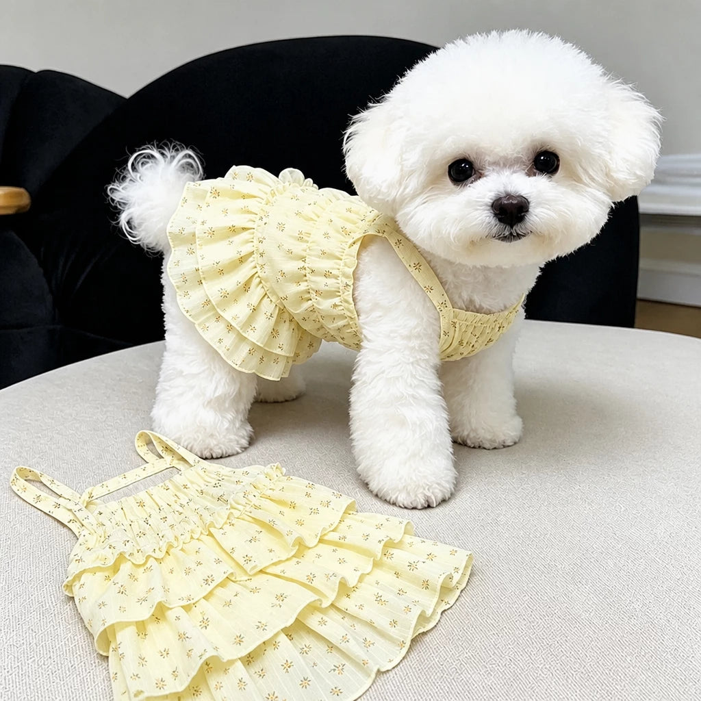 Cotton Pet Dress with Tiered Skirt
