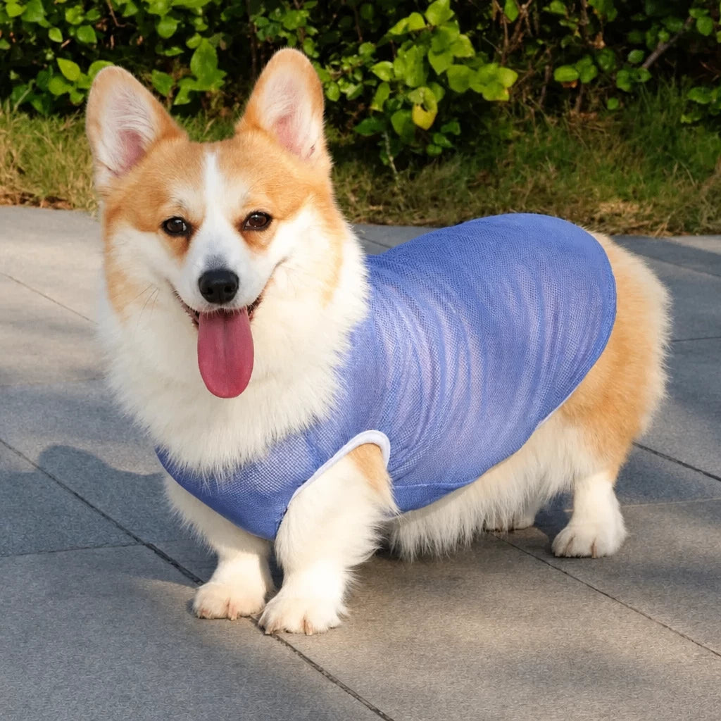 Lightweight Nylon Dog Vest for Everyday Wear