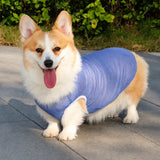Lightweight Nylon Dog Vest for Everyday Wear