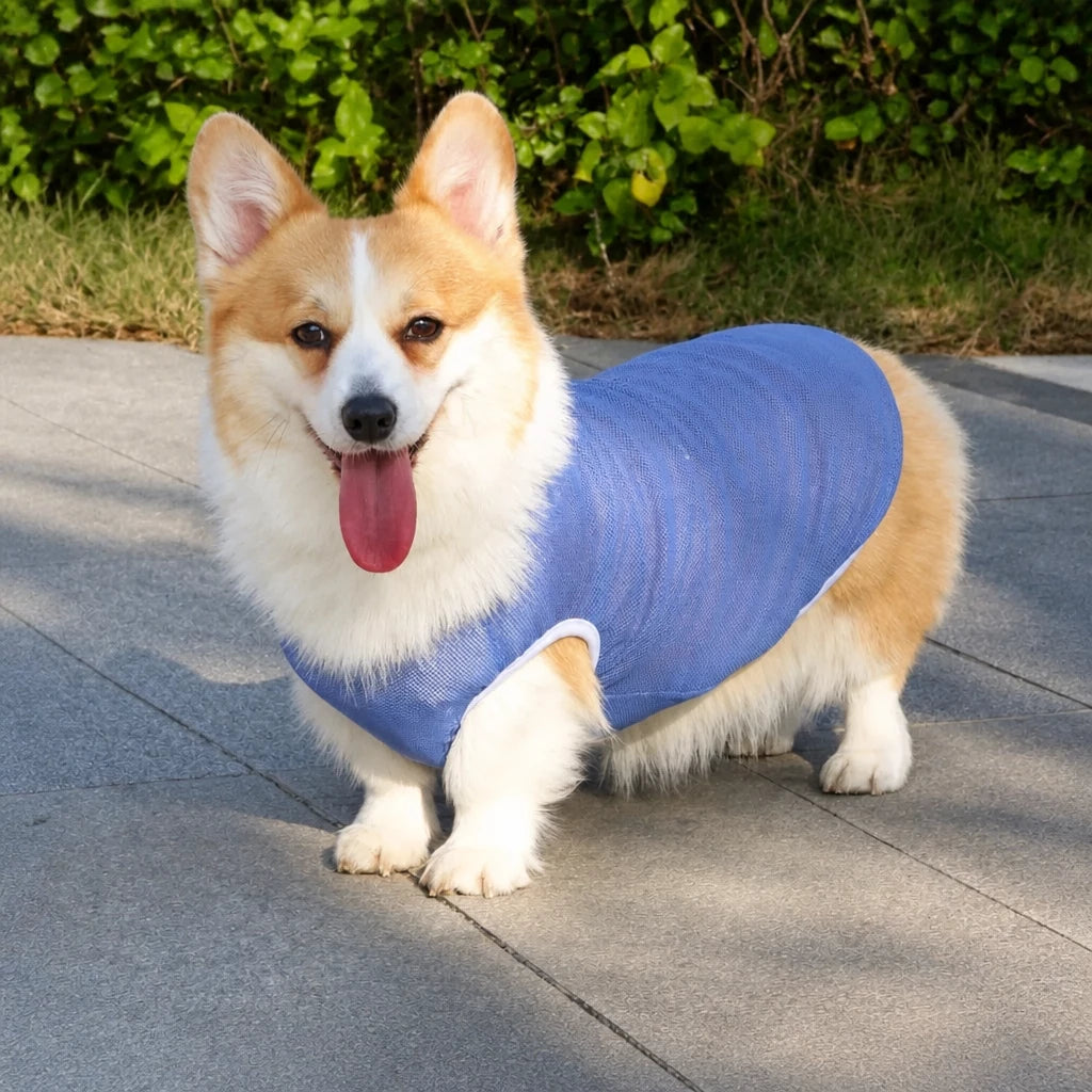 Lightweight Nylon Dog Vest for Everyday Wear