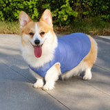 Lightweight Nylon Dog Vest for Everyday Wear