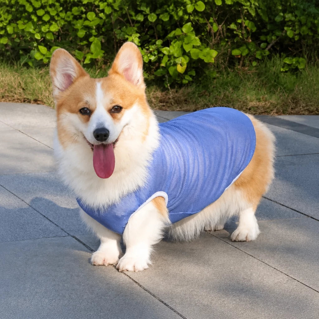 Lightweight Nylon Dog Vest for Everyday Wear